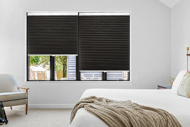 Changshade BlackOut & Light Filtering Window 38MM Cordless C